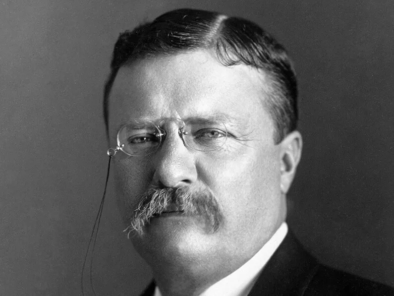 Black and white portrait of Theodore Roosevelt wearing pince-nez glasses and a dark suit
